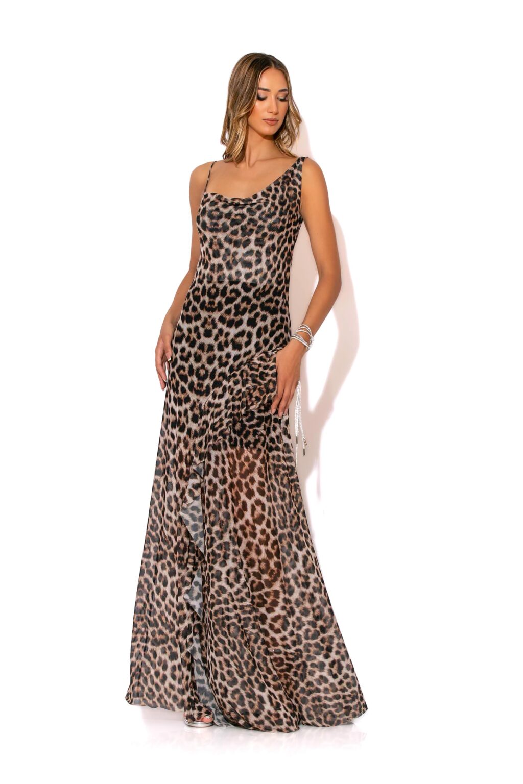 Animal-print mesh maxi dress